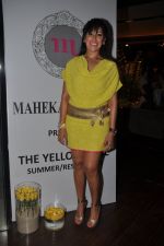 Maheka Mirpuri at the Launch of Maheka Mirpuri_s The Yellow Rose Collection in Mumbai on 18th April 2013 (18).JPG